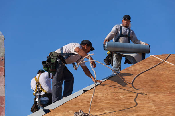 Best Storm Damage Roof Repair  in Carle Place, NY